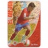 Venta Cards Del Pino Mejor Punta Redonda Jaspeado Mundicromo Fichas 2009