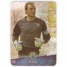Cromos de futbol Arnau Capitán Punta Redonda Jaspeado Las Fichas de la Liga 2009
