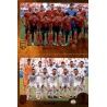 Morocco / Iran - Group B 403 Panini FIFA 365 2019 Sticker Collection