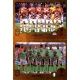 Croatia / Nigeria - Group D 407 Panini FIFA 365 2019 Sticker Collection