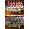 Croatia / Nigeria - Group D 407 Panini FIFA 365 2019 Sticker Collection