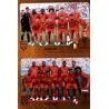 Belgium / Panama - Group G 412 Panini FIFA 365 2019 Sticker Collection