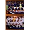 France / England 443 Panini FIFA 365 2019 Sticker Collection