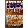 France /Australia - Group C 404 Panini FIFA 365 2019 Sticker Collection