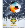 Colección Panini Campeonato Brasileiro 2013 Colecciones Completas