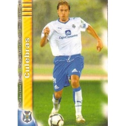 Culebras Tenerife 523