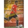 Comprar Online Gonzalo Castro Superstar Security Mundicromo Quiz 2009-10