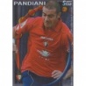 Trading Cards Pandiani Superstar Brillo Liso Osasuna Las Fichas de La Liga 2010-11