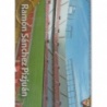 Venta Online Sánchez Pizjuán Estadio Brillo Liso Sevilla Las Fichas Quiz Liga 2010-11