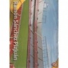 Venta Cromo Sánchez Pizjuán Estadio Rayas Horizontales Sevilla Las Fichas de La Liga 2010-11