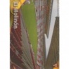 Oferta Cromos El Molinón Estadio Rayas Horizontales Sporting Mundicromo Quiz 2010-11
