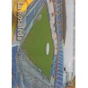 La Rosaleda Estadio Rayas Horizontales Málaga 434