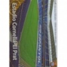 Comprar Cromo Cornellá-El Prat Estadio Brillo Letras Espanyol Las Fichas Quiz Liga 2010-11