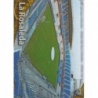 Comprar Cromo La Rosaleda Estadio Brillo Letras Málaga Las Fichas de La Liga 2010-11