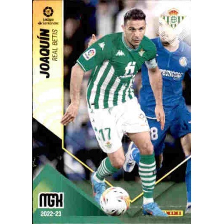 Joaquín Real Betis 95