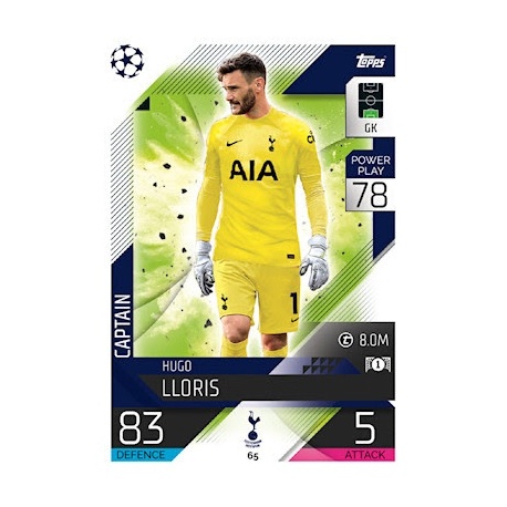 Hugo Lloris Captain Tottenham Hotspur 65