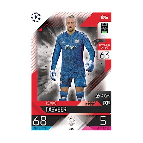 Remko Pasveer AFC Ajax 245
