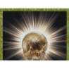 Comprar Cromos Trophy 1/2 Panini Mundial Qatar 2022 España