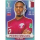 Pedro Miguel Qatar QAT10