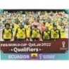 Sale Cards Team Photo Ecuador Panini Fifa Stickers 2022
