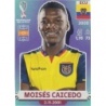 Buy Cards Moisés Caicedo Ecuador Panini World Cup Stickers 2022
