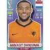 Comprar Cromo Arnaut Danjuma Netherlands Panini Fifa World Cup Qatar 2022
