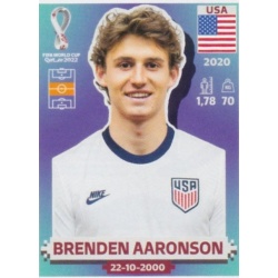Brenden Aaronson United States USA11