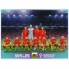 Offer Soccer Cards Team Photo Wales Panini World Cup Stickers 2022
