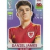 Buy Soccer Stickers Daniel James Wales Panini Stickers Qatar 2022