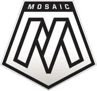 Panini Mosaic Soccer