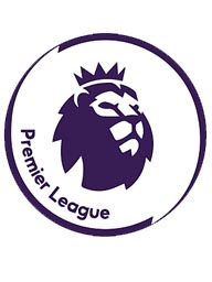 Panini Premier League